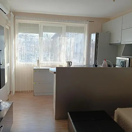 Apartment Andri *